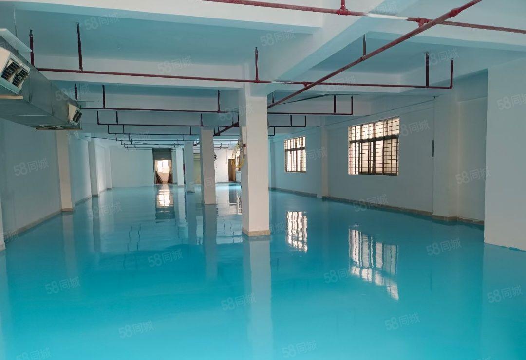 小独院总面积2100平，可进大货柜