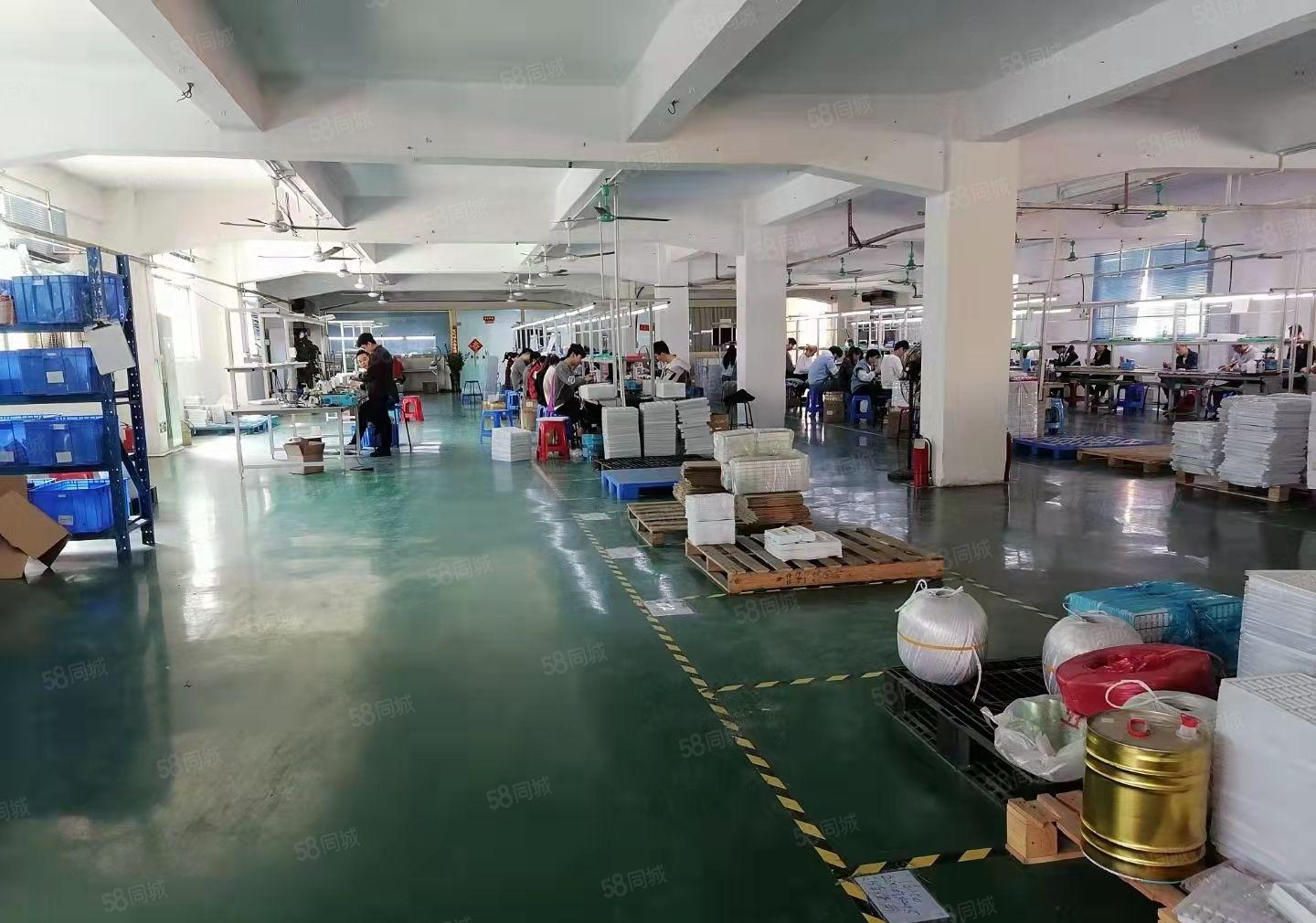 茶山镇原房东独栋厂房出租。每层230平方。带电梯