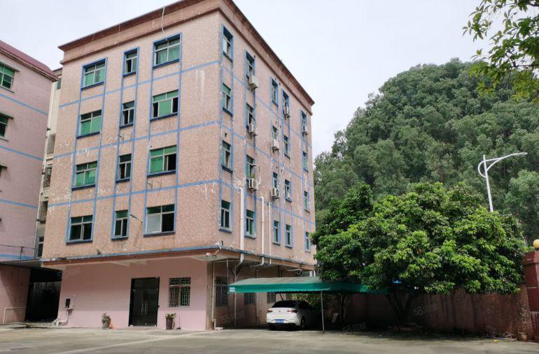 茶山镇独院厂房出租整租5500平方米，分租1000平方米起租