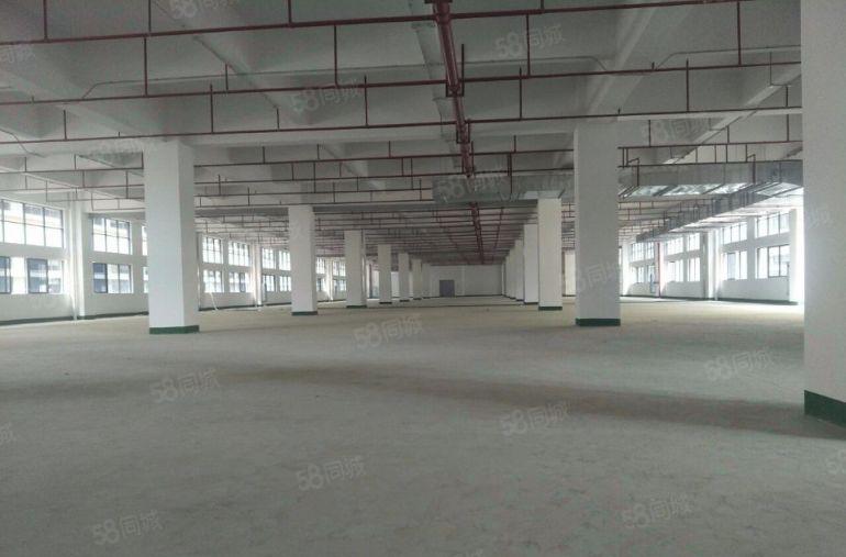 茶山镇带天然气蒸汽管道厂房招租，二次消防，两部3吨电梯！