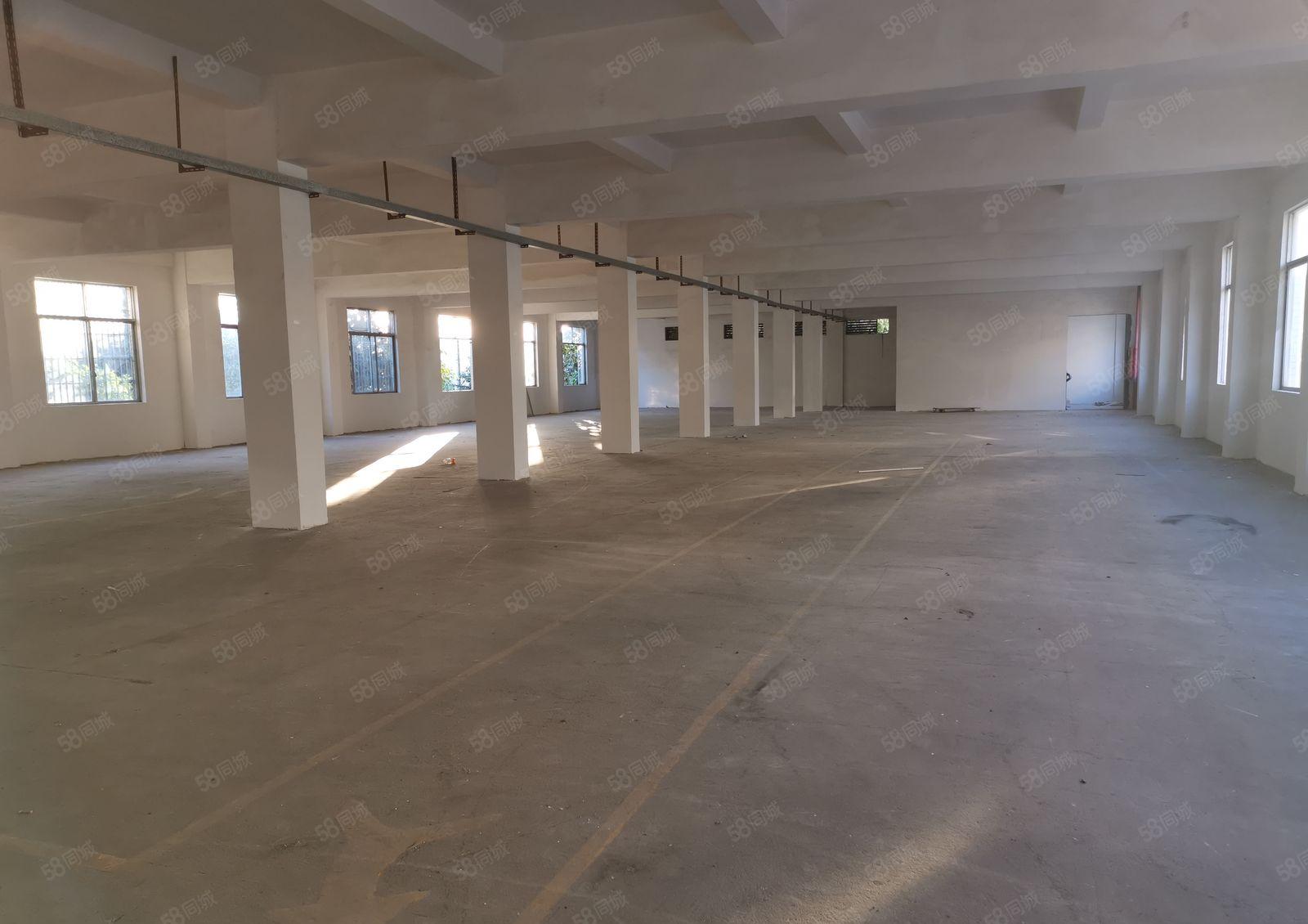 业主自有200平至1000平厂房招租证件齐全