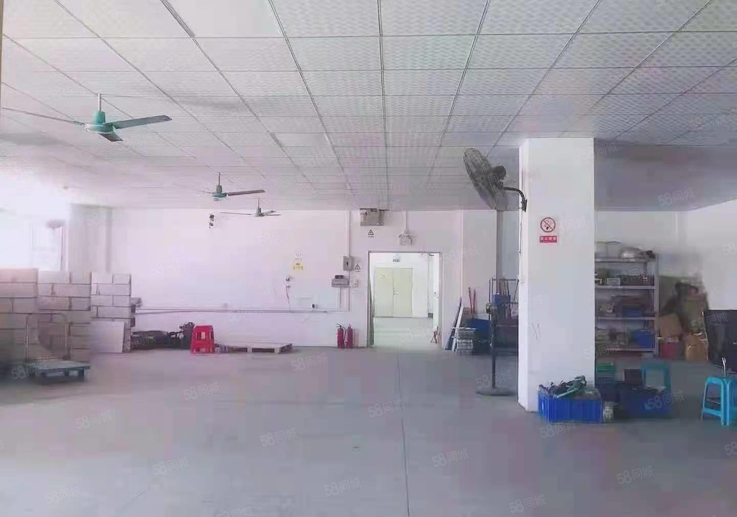形象好，带吊顶 茶山镇新出标准厂房楼上面积600平方出租