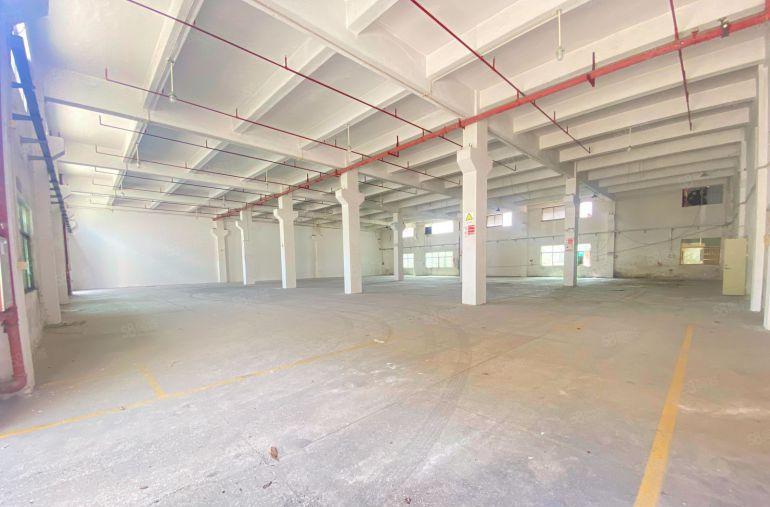 厂房出租  原房东  一楼6.5米  适合注塑五金模具设备等