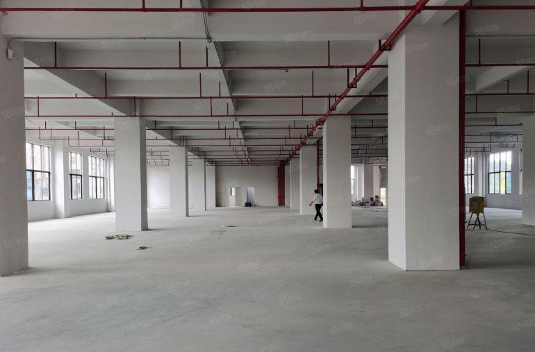 茶山镇原房东独院厂房实际面积出租单层1500平方一楼高度5米