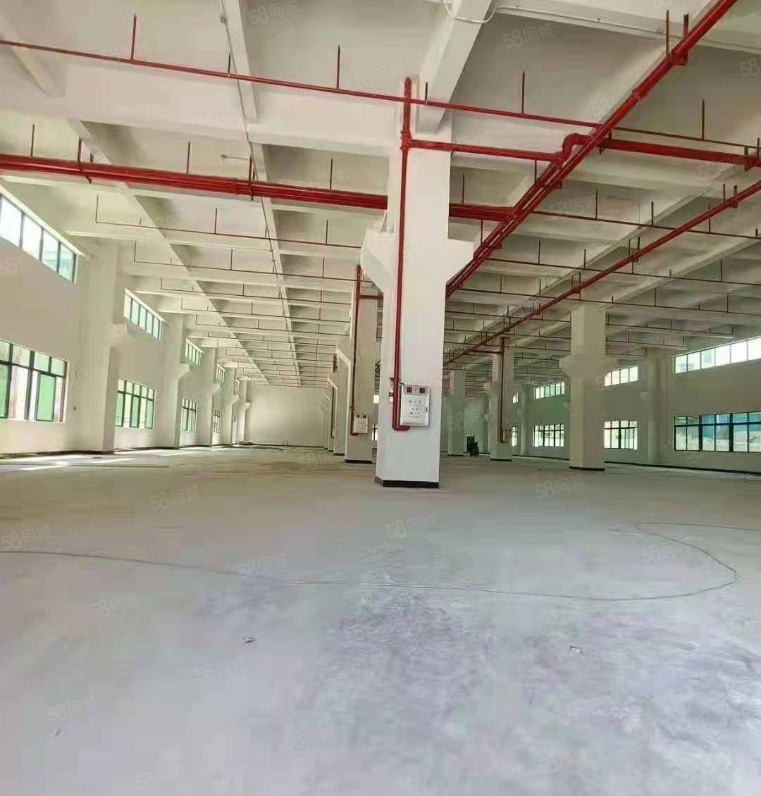 茶山大型工业园分租标准一楼2450平方，高7.5米