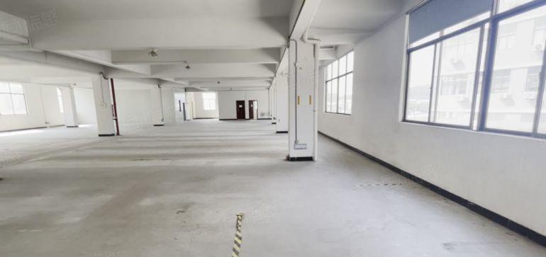 茶山主干道楼上标准厂房11元招租电梯宽2米 带办公室 好招工