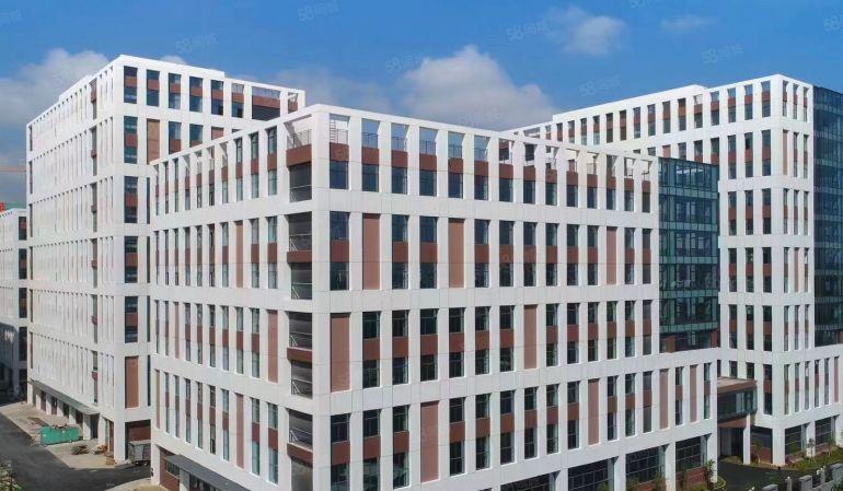 公司自建厂房非中介！茶山3000平整层红本厂房出租