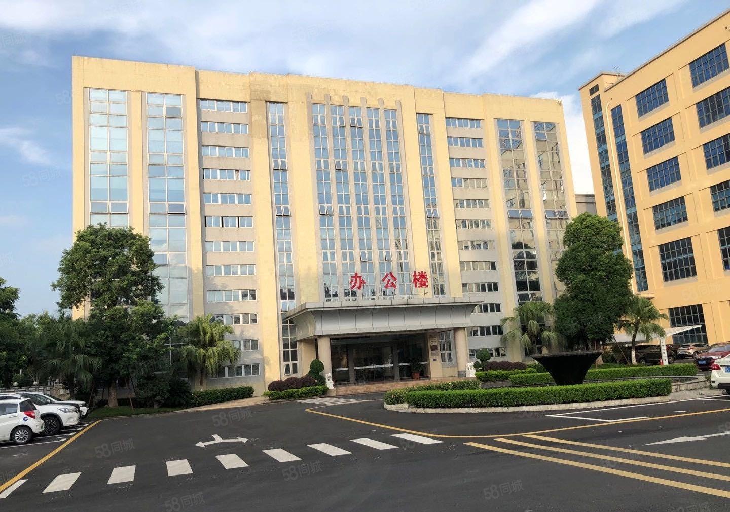 茶山镇低价厂房出租4200平方1000平方起分租带地坪漆