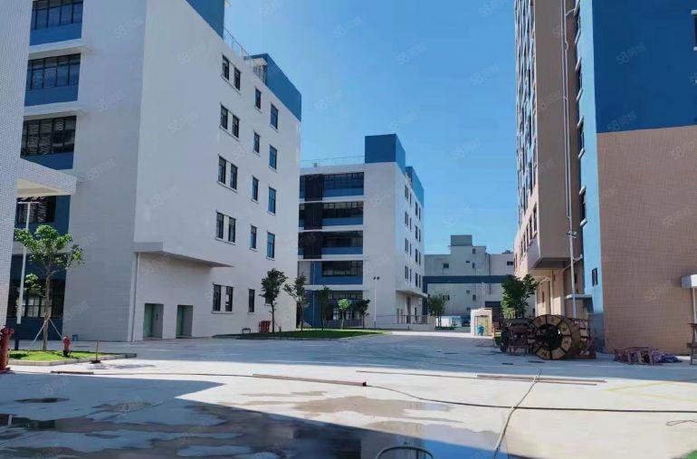 茶山原房东10块一平实际面积！新出2160平红本厂房出租