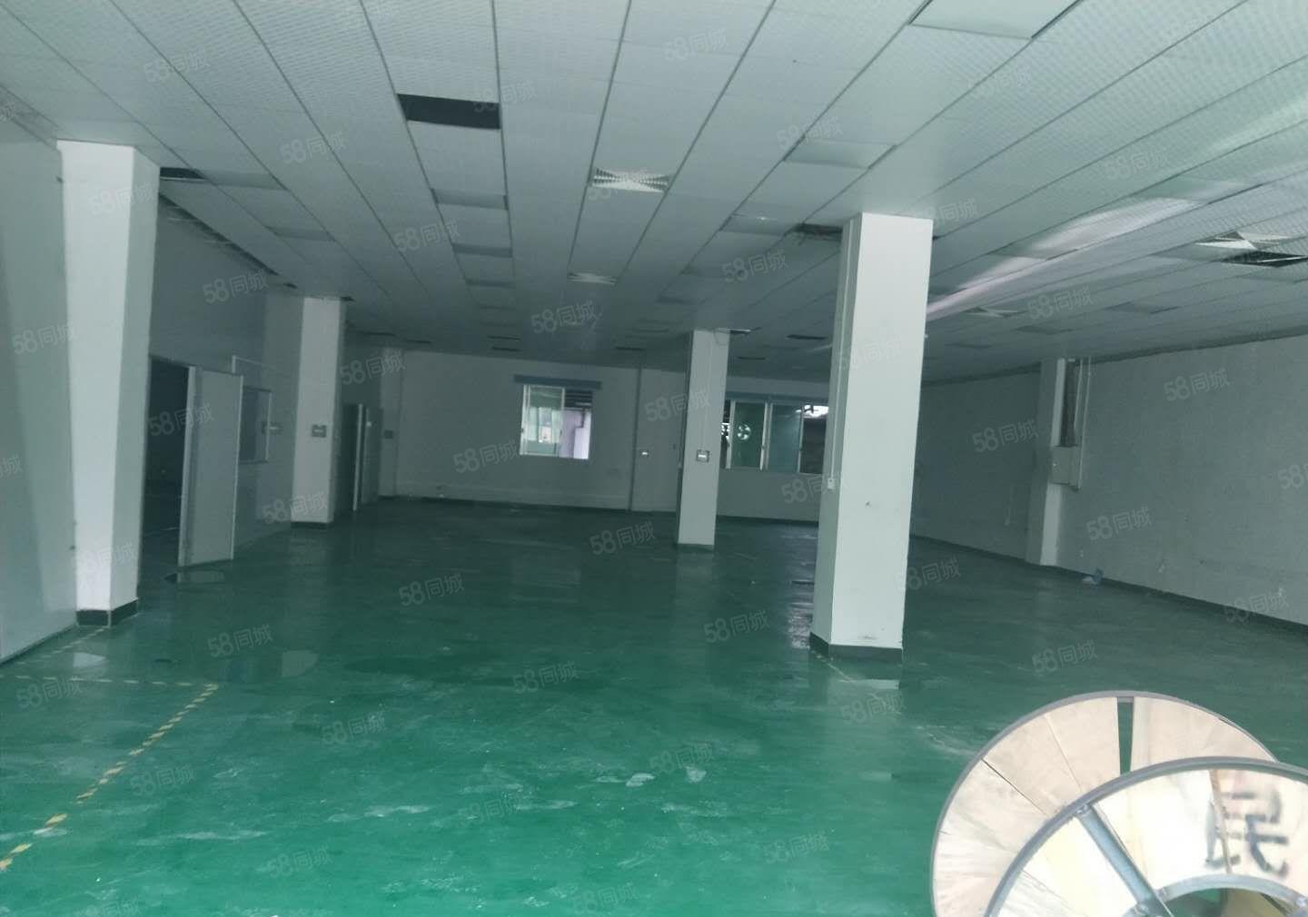 茶山镇原房东带装修厂房分租1100平方招租