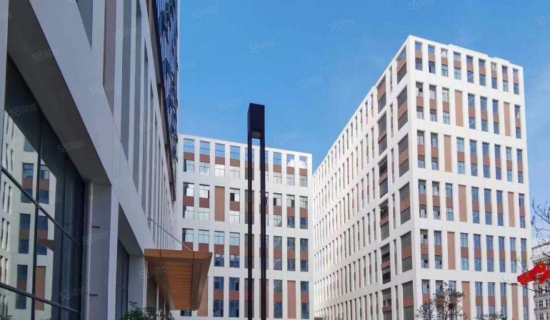 公司自建厂房非中介！茶山3000平整层红本厂房出租