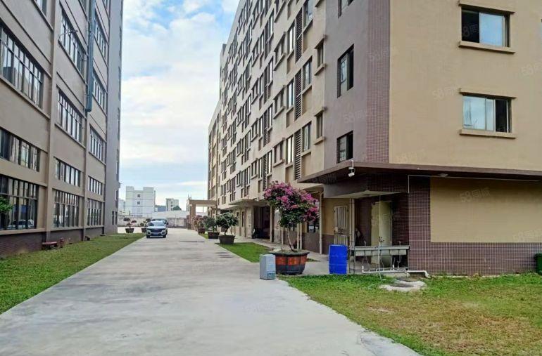 茶山镇伟建工业园区花园式独门独院标准厂房54000平米出租