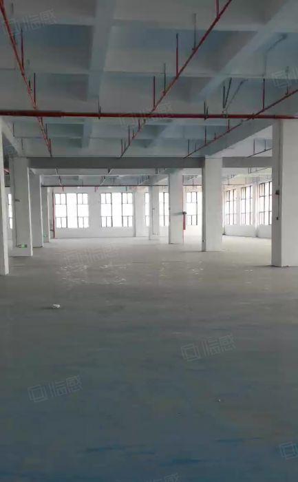 茶山镇新出原房东实际面积出租