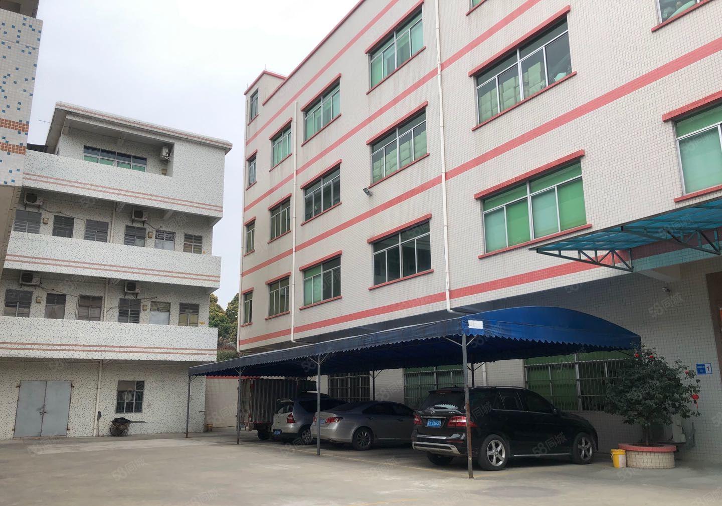 高端，大气标准独院厂房，适合制衣厂，电子厂，五金厂