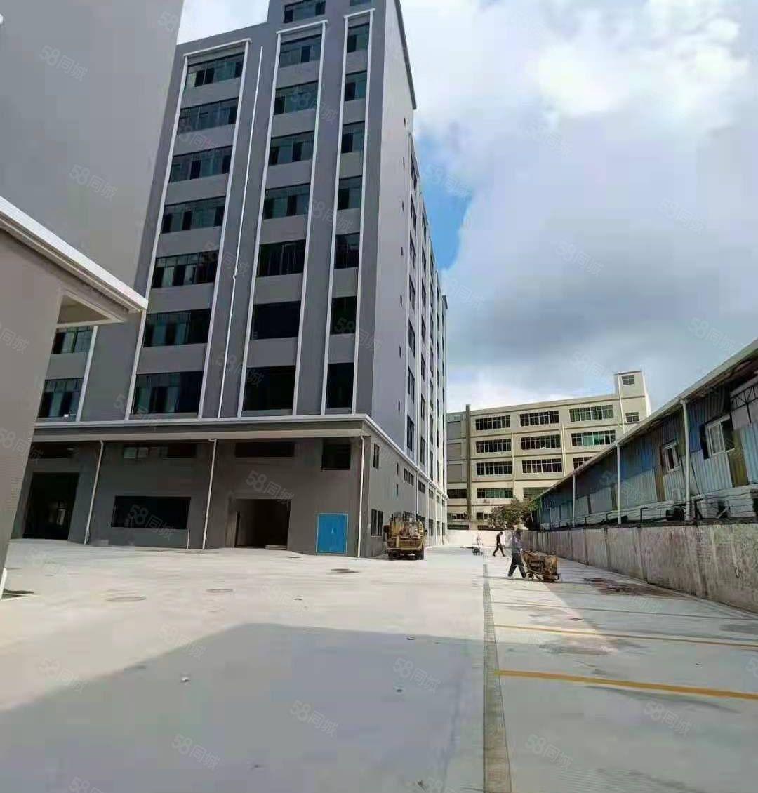 茶山大型工业园分租标准一楼2450平方，高7.5米