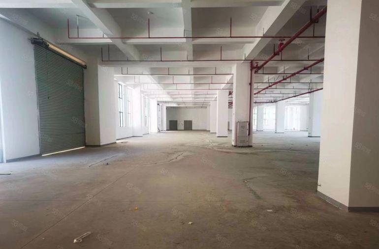 茶山上元原房东标准厂房12元随时免费带看 便停车 易招工