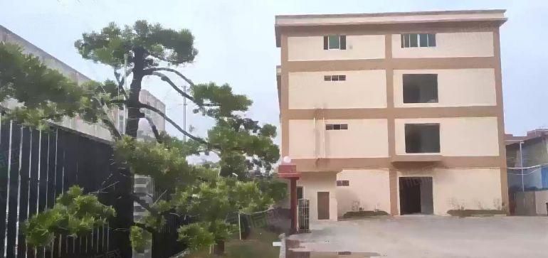 茶山镇原房东独院厂房招租500平方起分租1到3层一楼4.8米