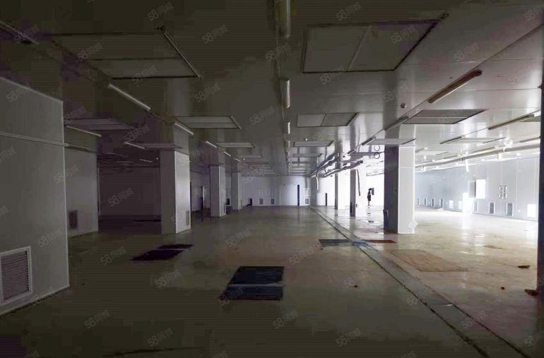 茶山镇超朗单一层无尘车间低价招租随时看厂 价格可议 方正实用