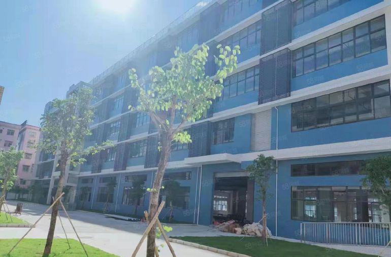 茶山原房东10块一平实际面积！新出2160平红本厂房出租