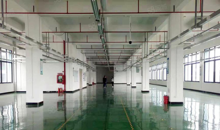 茶山镇厂房出租超朗工业区楼上分租1500平方带地坪漆