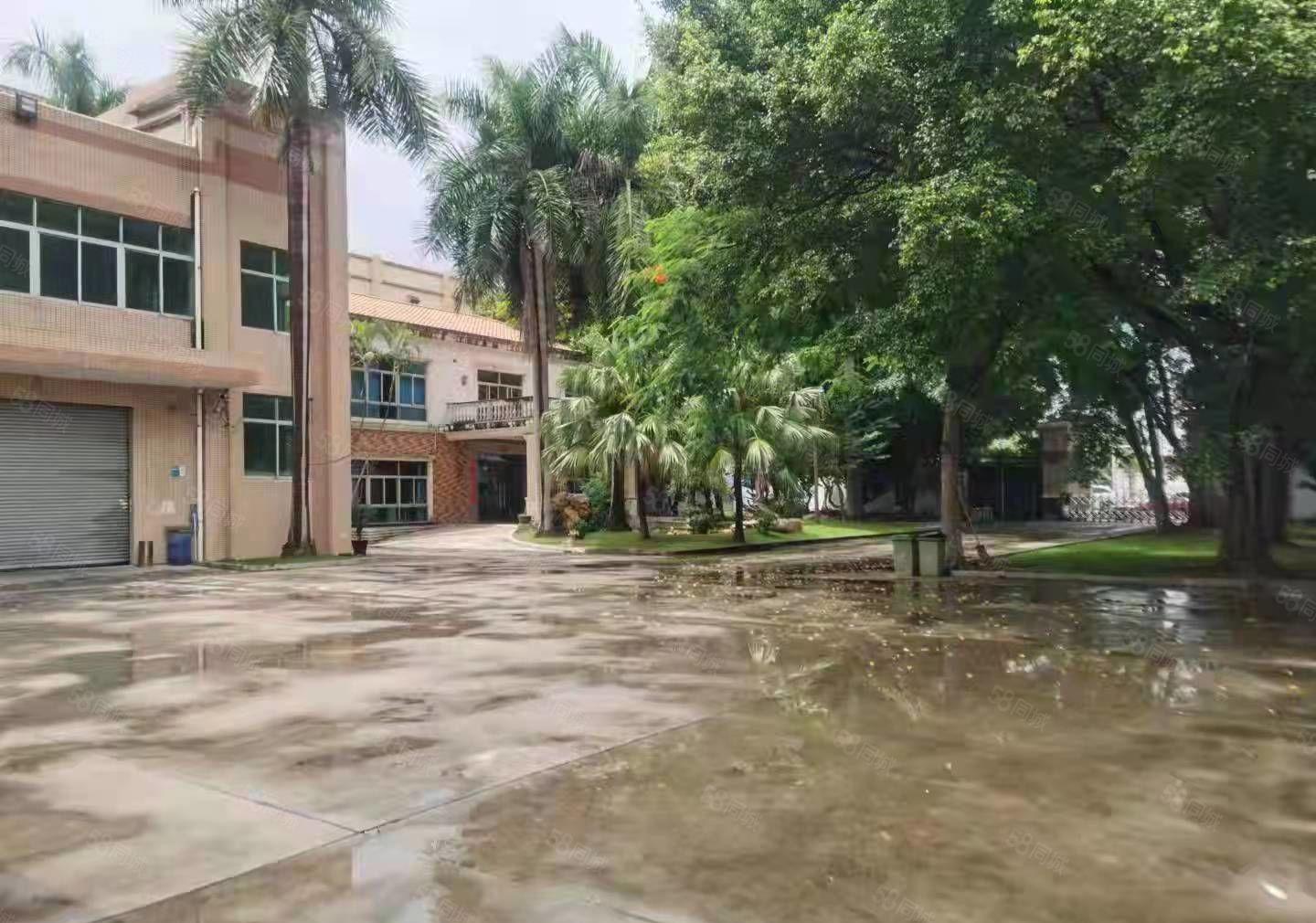 茶山经典小独院厂房出租4350平方形象好空地大工业用地