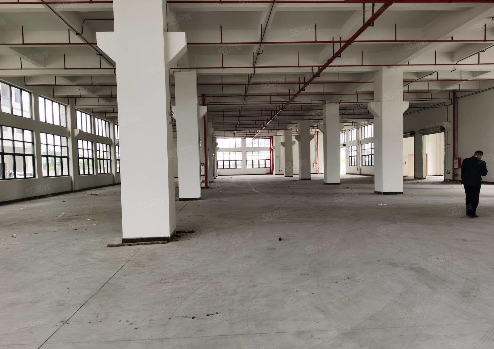 茶山全新标准一楼厂房出租1500平方，带牛角水电到位，高7米