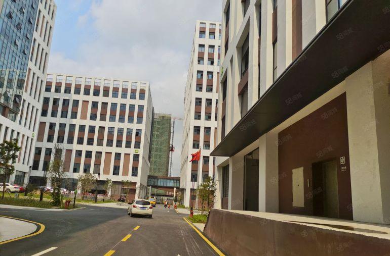 业主直租非中介10块一平！茶山原房东3000平厂房出租