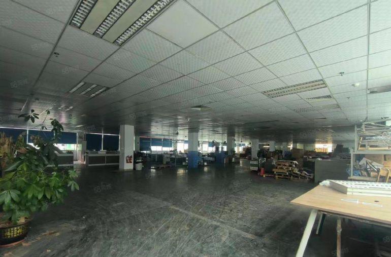 茶山镇原房东厂房出租，带精装修二楼低价急租，面积1000平方