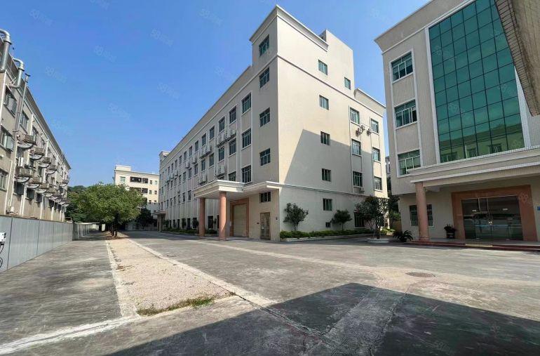 茶山卢边原房东花园式厂房出租独门独院