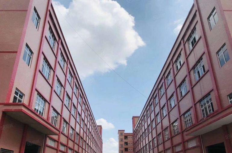 石排镇 产业园原房东独院 厂房出租 15元优惠划算 专精