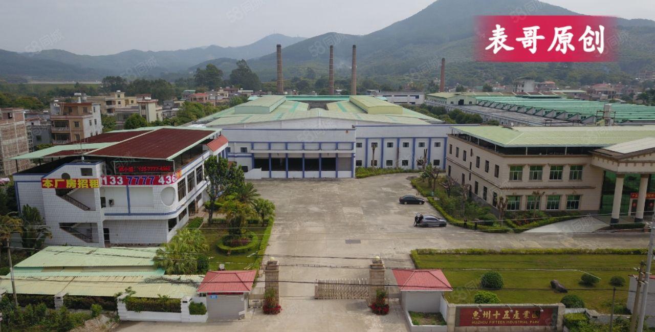 原房东单一层钢结构独门独院厂房出租