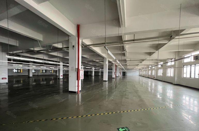 石排镇田寮工业区原房东厂房分租3000平米，现成水电线路装修