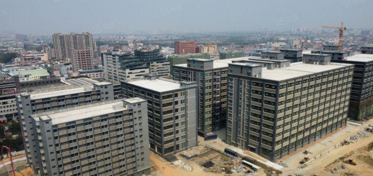 石排全新标准厂房出租，东莞全新标准厂房出租