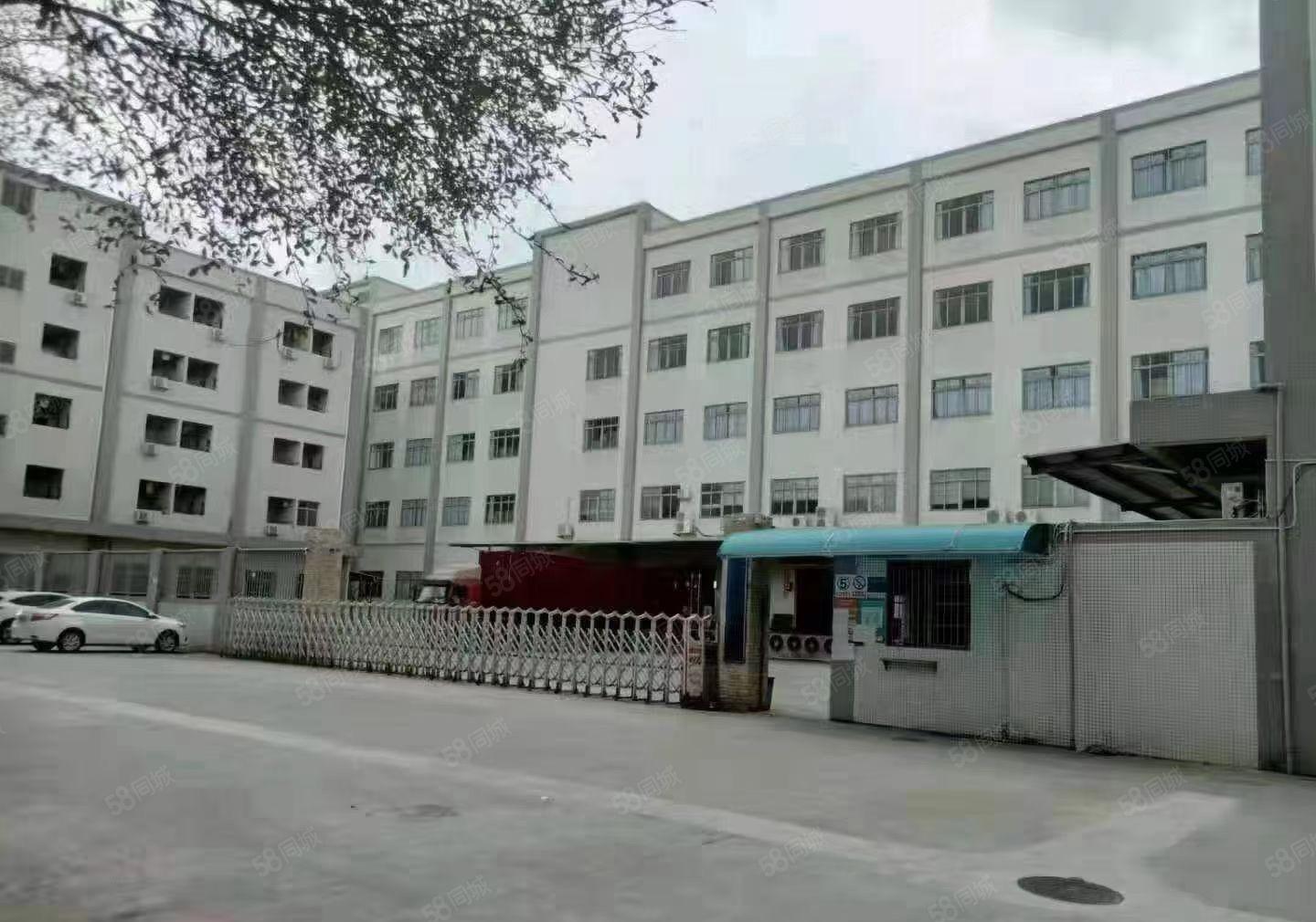 石排镇新空出独门独院厂房32000平米