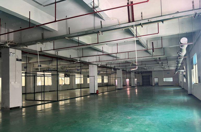 石排镇庙边王独院厂房出租一层现成精装修注塑车间