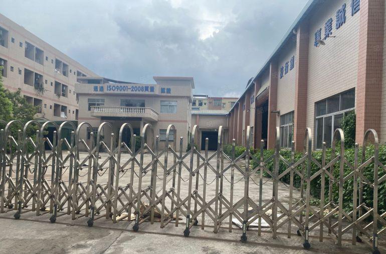 石排镇新出原房东3500平，单一层8米高带独立办公楼。