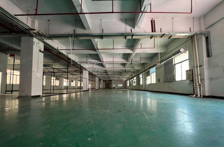 石排镇庙边王独院厂房出租一层现成精装修注塑车间