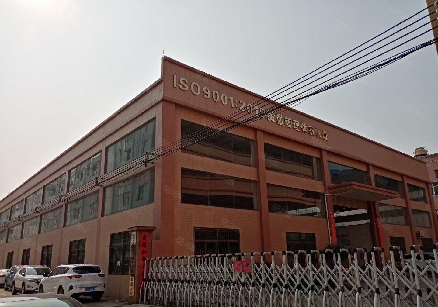 石排新出单一层经典独院滴水8米，总面积3000平方，价格便宜