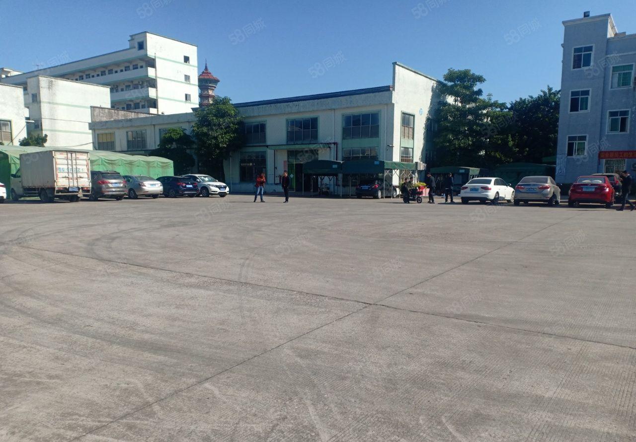 原房东独院钢构总面积3800平方厂房面积2800平方