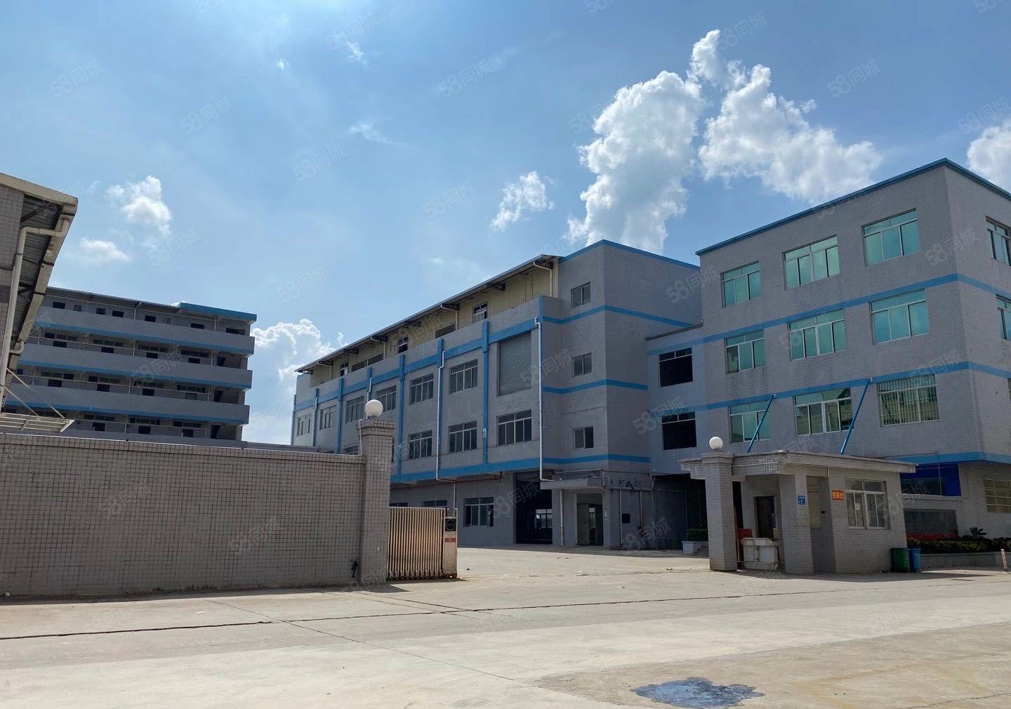 石排镇新空出一楼1000平方 现成装修电缆 牛角位