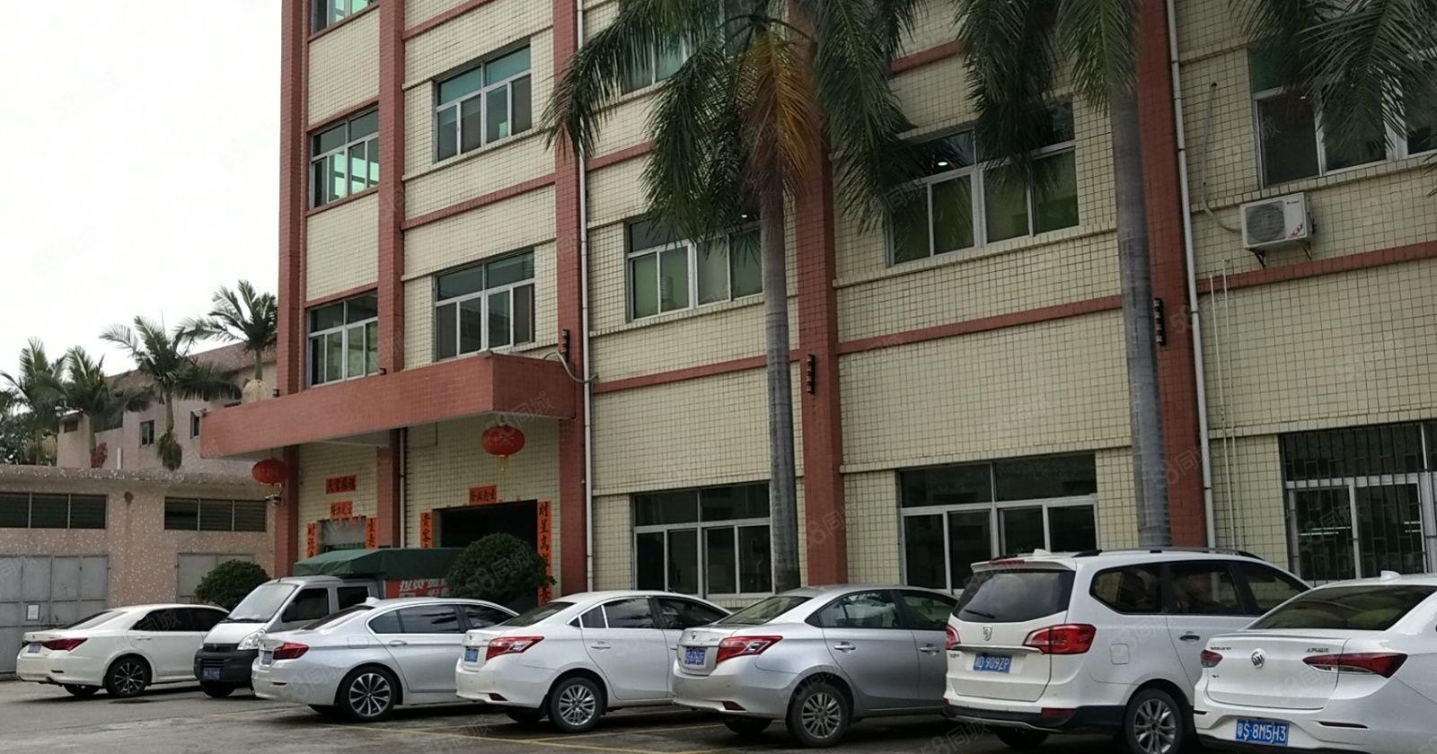 石排标准厂房出租950方，现成办公室，形象好！