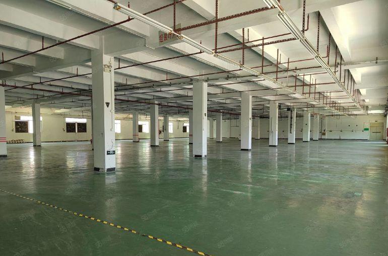 石排镇下下沙村原房东一二楼4000平厂房出租 带现成豪华装修