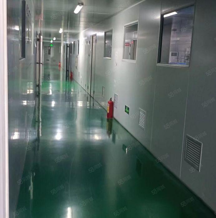 东莞市石排镇新出租独院厂房。6800平方。2000平方起分。