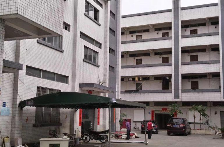 石排 一手房东 独院厂房2400方，形象佳