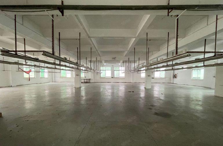 石排镇原房东独门独院2200平方出租