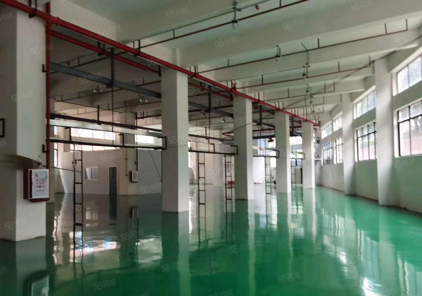 石排一楼1200平方，9成新装修，高度6.5米，现成水电行车