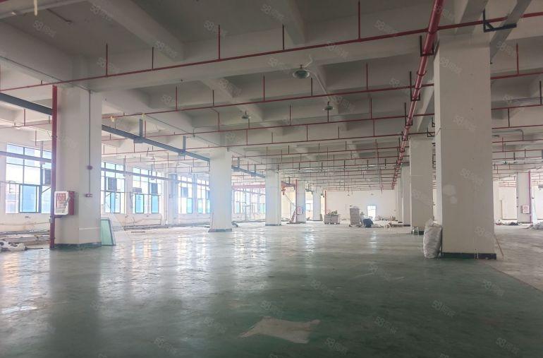 本地房东精装修厂房好招工 800平方 水电齐全 价格便宜