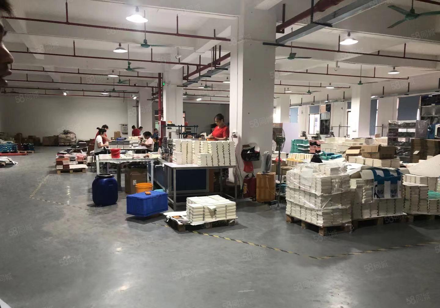 石排镇工业园区新出1000平方楼上厂房 精装修 可分租