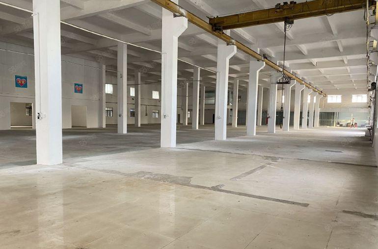 石排新出原房东独院单一层，滴水八米带航车形象好空地大带办公室