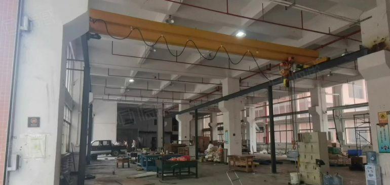 石排原房东独院厂房出租一楼8米带牛角，适合注塑模具cnc等